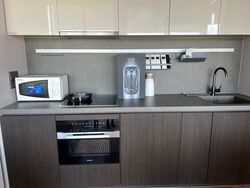 Cuscaden Reserve (D10), Condominium #594218021